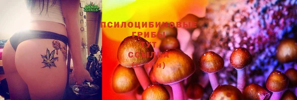 скорость Зеленодольск