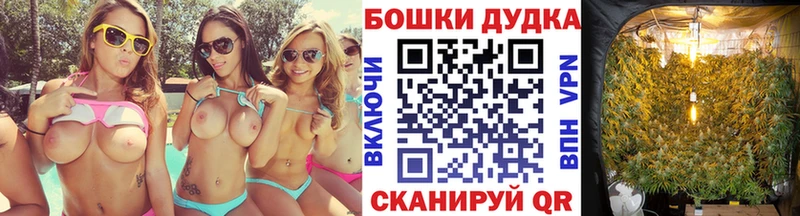 Купить где  Николаевск-на-Амуре  Конопля AK-47 